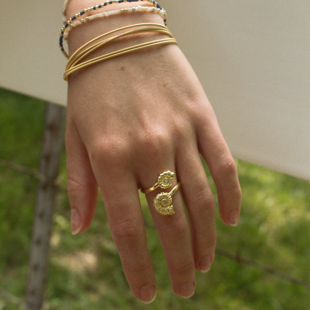 Shore Ring