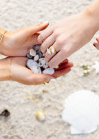 Reef Ring