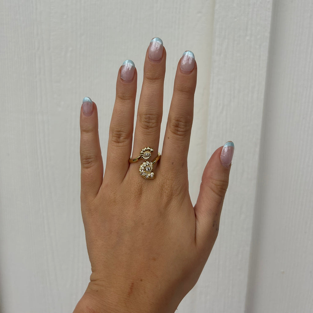Shore Ring