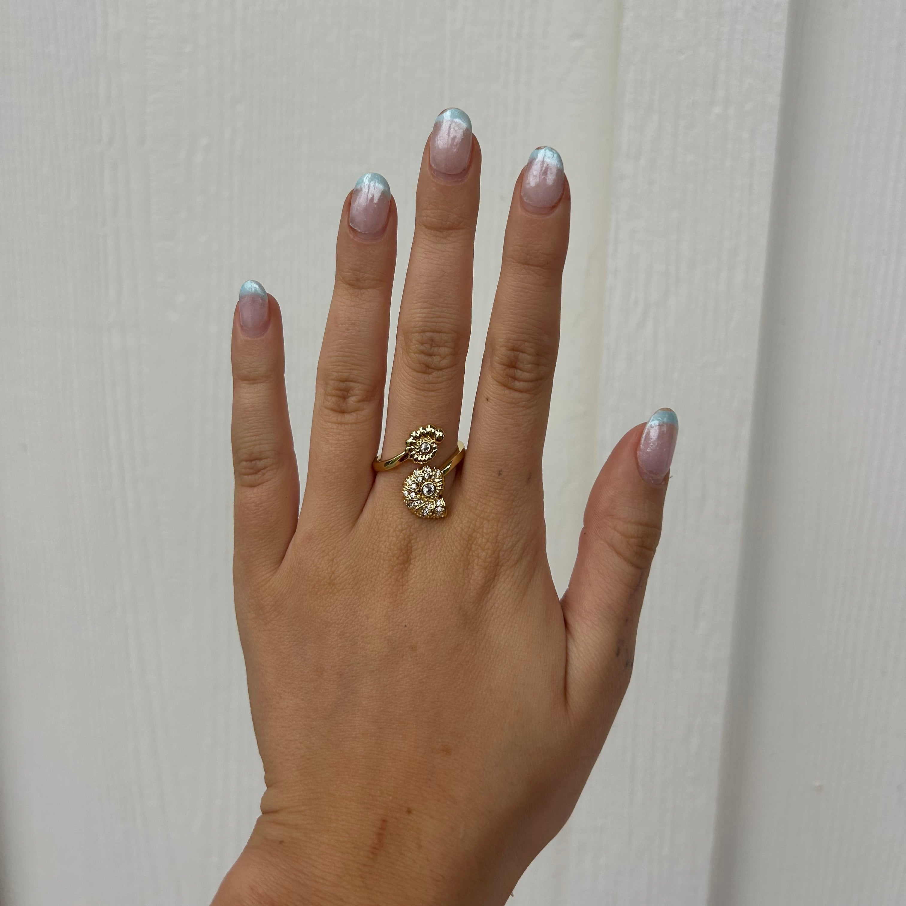 Shore Ring
